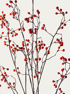 Terracotta berry branch